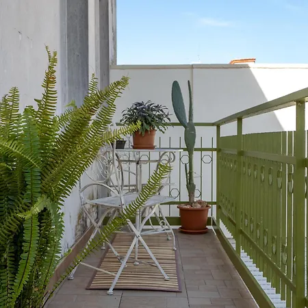 公寓 Casa Lumia - A Vicino Al Mare *